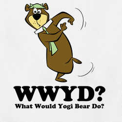 What Would Yogi Bear Do T Shirt 37622