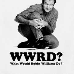 What Would Robin Williams Do Comedian T Shirt 38440