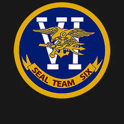 Osama Bin Laden Seal Team Six T Shirt 82169