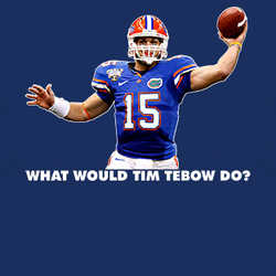 What Would Tim Tebow Do T Shirt 82787