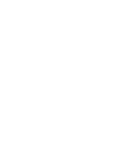 template preview